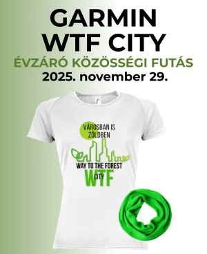 Garmin WTF CITY 10 km